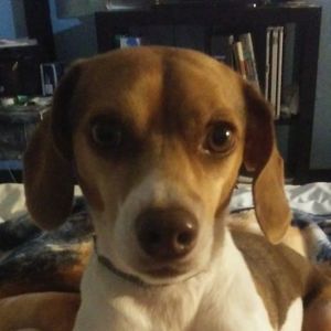 Meet your Posher, Beth